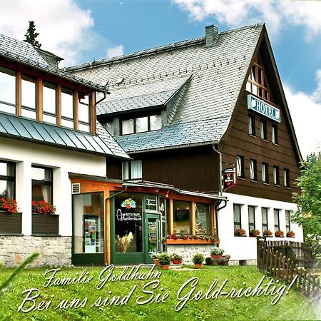 Ferienhotel Muehlleithen Klingenthal Exterior foto