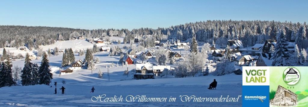 Ferienhotel Muehlleithen Klingenthal Exterior foto